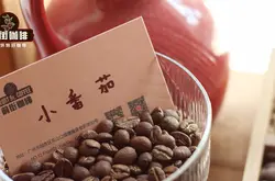 風味偏酸的咖啡豆有哪些推薦 淺烘焙咖啡豆的口感特點介绍