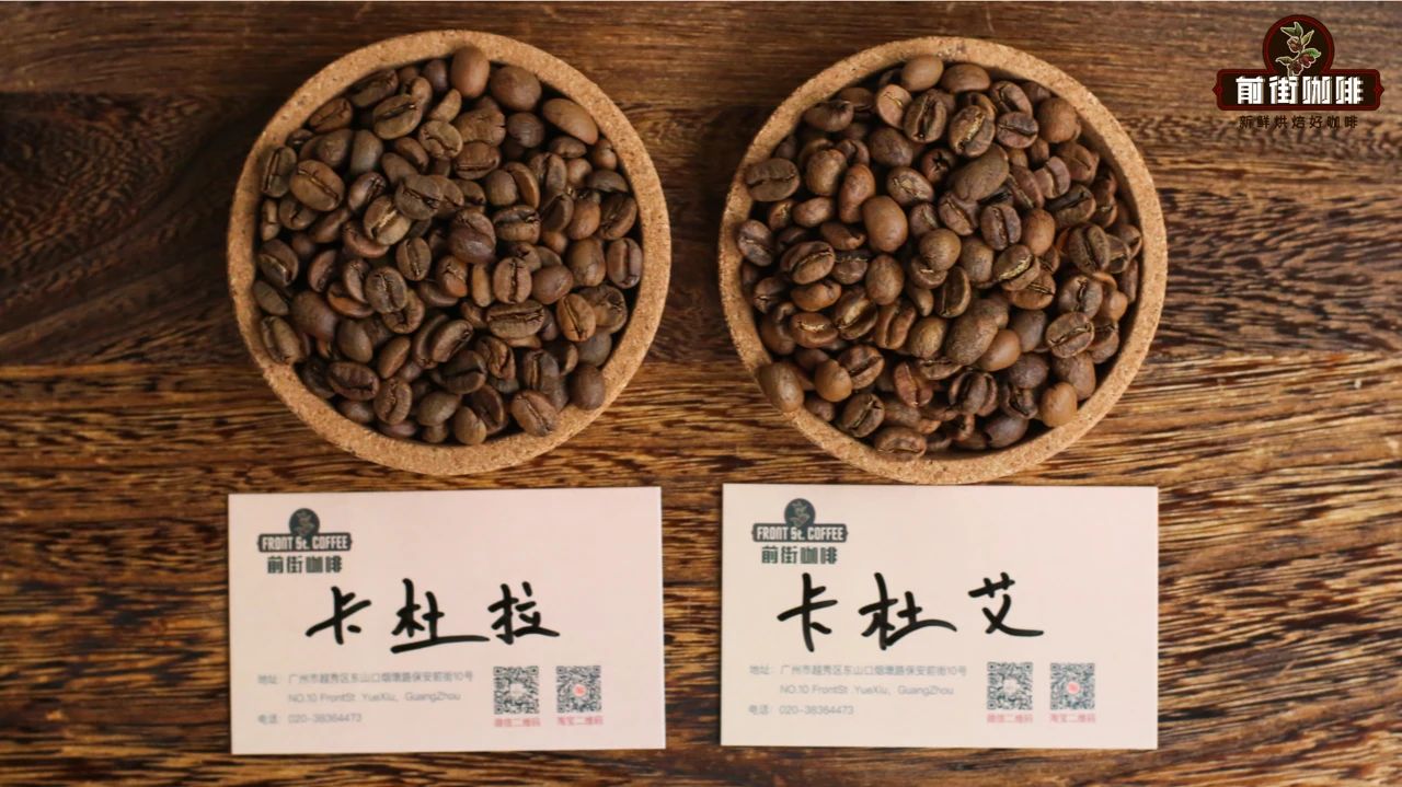 卡杜拉咖啡豆和卡杜艾咖啡豆區別 咖啡店新手如何選擇手衝咖啡豆