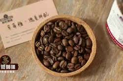咖啡豆不同烘焙程度的風味口感區別?咖啡豆烘焙溫度不超過多少度