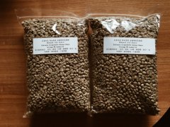 自己的咖啡，自己做！手網烘豆入門 日本咖啡手網烘焙！
