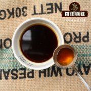 上海illy咖啡學校官網 意利咖啡/illy咖啡大學咖啡品鑑師課程分享