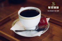 美式咖啡咖啡豆怎麼養_什麼咖啡豆做美式_怎麼用美式煮咖啡豆