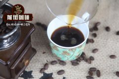 夏威夷kona是什麼造就最昂貴的咖啡 夏威夷kona咖啡風味特點描述