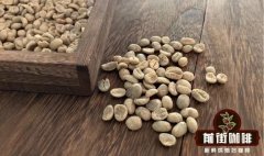 阿拉比卡與羅布斯塔咖啡豆的區別 雲南小粒咖啡屬於阿拉比卡嗎