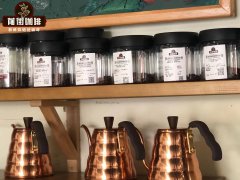 非洲肯尼亞咖啡豆沖泡教學 kalita濾杯衝煮咖啡豆步驟教學